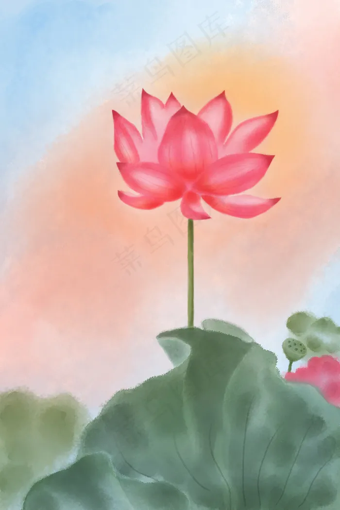 水彩风荷花插画psd模版下载