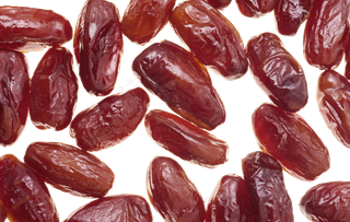 海枣免抠素材 (19)