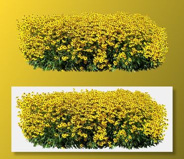 高清树木素材 免抠PSD植物素材 美术绘画园林贴图 树草灌木花草