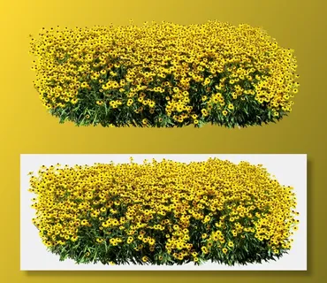 高清树木素材 免抠PSD植物素材 美术绘画园林贴图 树草灌木花草