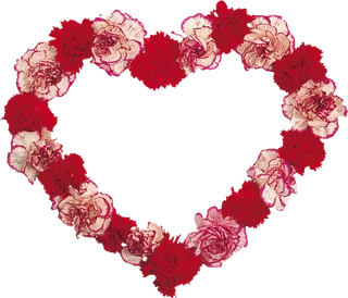 红色爱心花环