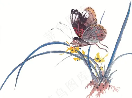 昆虫花草中国画美图素材