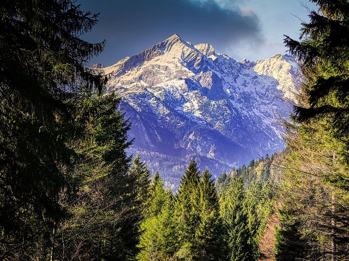 冬天自然背景风景