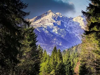 冬天自然背景风景