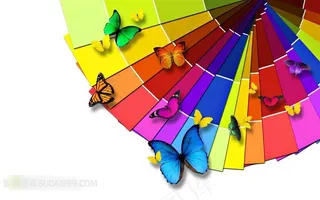 彩色卡片和彩色蝴蝶