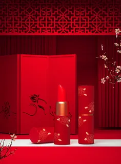 中国风国潮新春春节包装样机模板