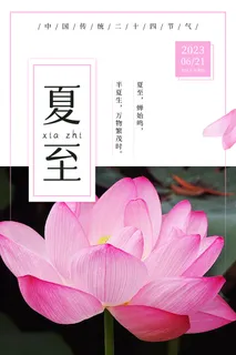 夏至海报  浅粉色  二十四节气  广告设计  荷花