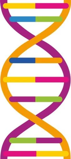 DNA免抠