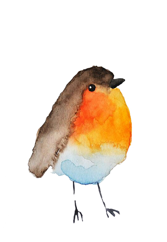 小鸟卡通水彩