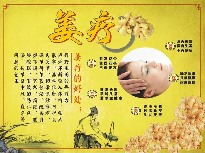 姜疗洗发美容金黄色cdr矢量模版下载