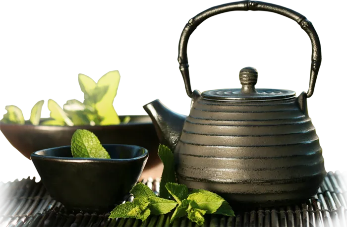 古典元素茶壶