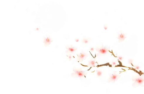 粉色简约风手绘鲜花花朵水墨画PNG素材图片 (41) 粉色简约风手绘鲜花花朵水墨画PNG素材图片 (41)