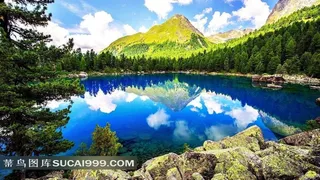 春天的湖泊森林风景图片