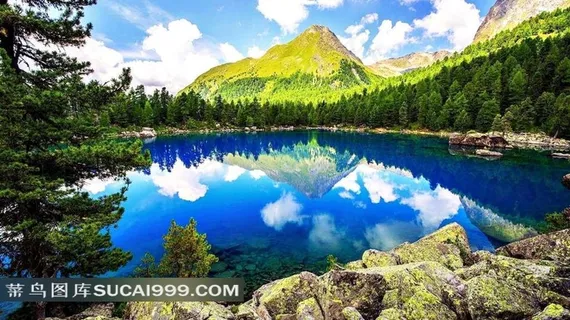春天的湖泊森林风景图片 春天的湖泊森林风景图片
