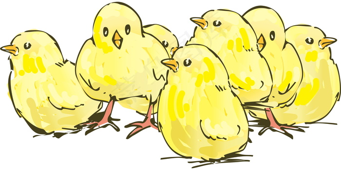 黄色小鸡卡通画图片
