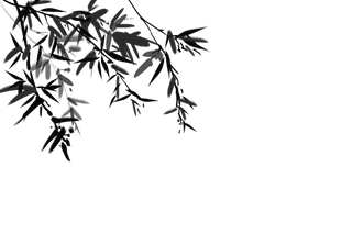 竹子水墨画中国风国画墨水书法竹子画