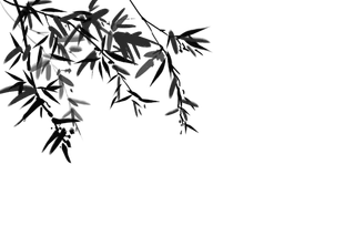 竹子水墨画中国风国画墨水书法竹子画