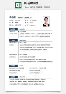 简约求职简历
