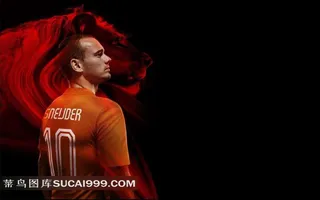 世界杯荷兰队球星高清图