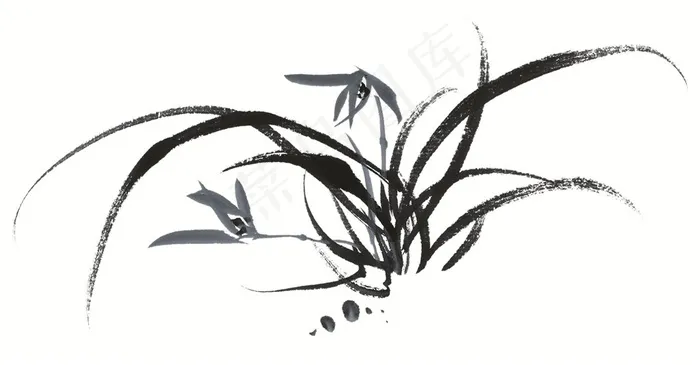 花卉文化艺术摄影图片