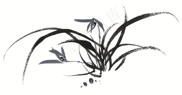 花卉文化艺术摄影图片