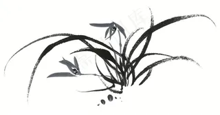 花卉文化艺术摄影图片