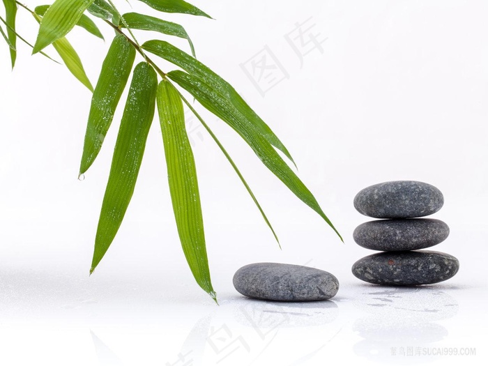 竹叶和石头意境图