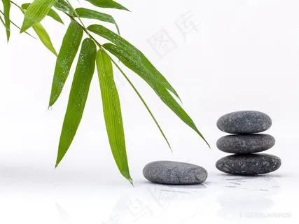 竹叶和石头意境图 竹叶和石头意境图