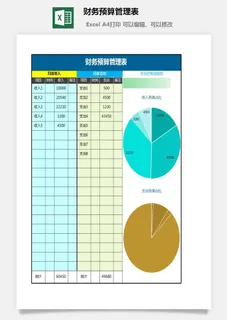29财务预算管理表