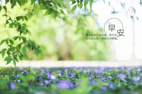 小清新早安说说图片 小清新早安说说图片
