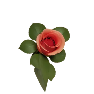 单只玫瑰免扣原创素材