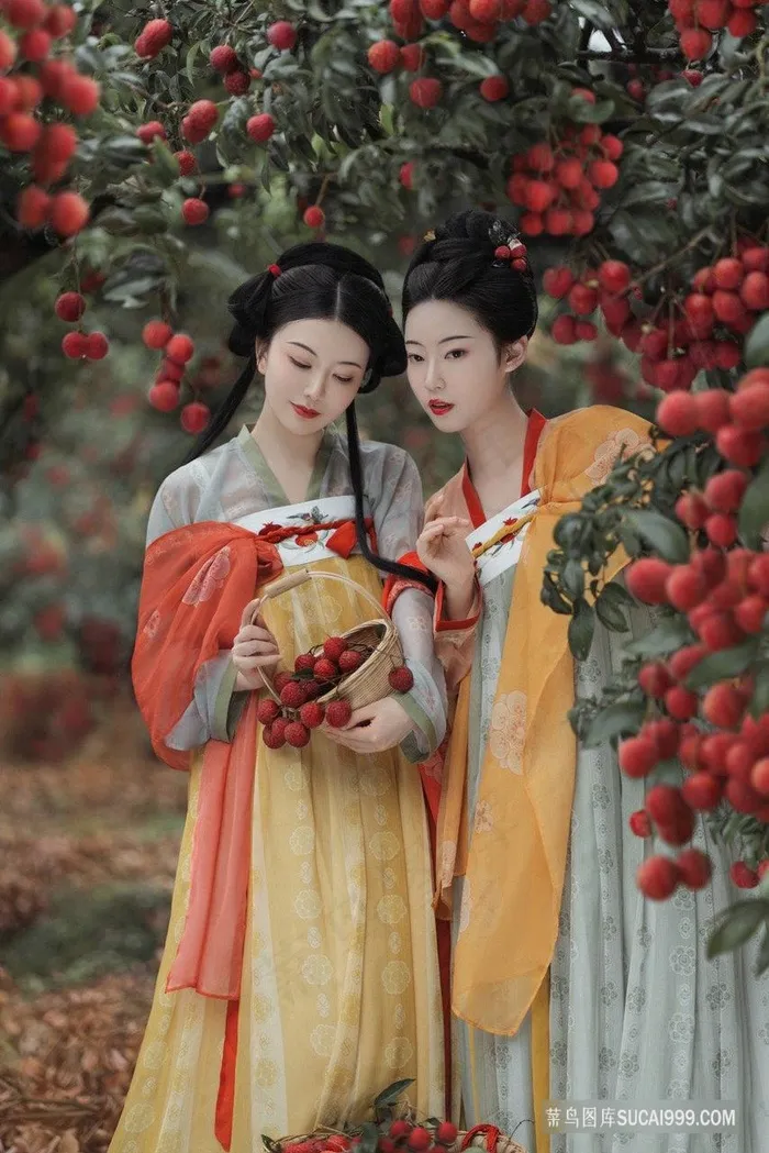 荔枝园内的古装少女图片素材
