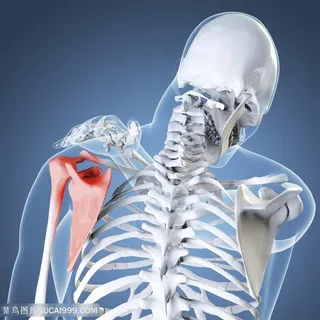 肩部难受疼痛的人物高清图片