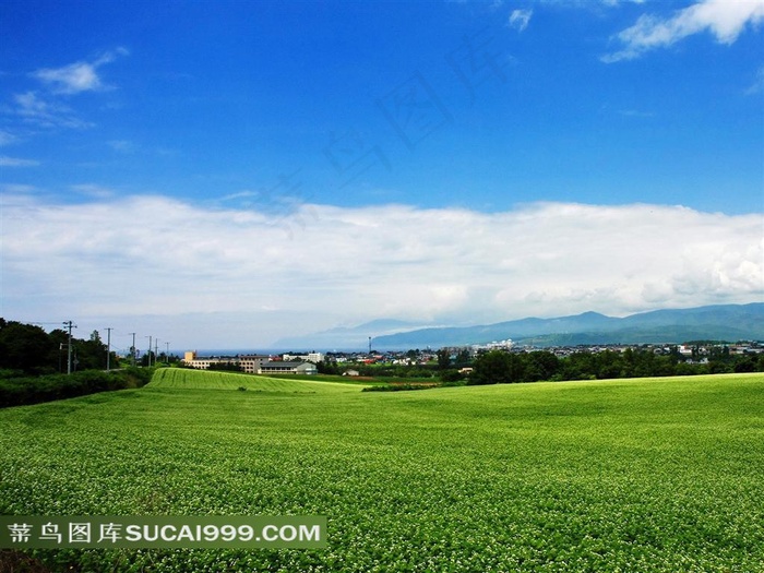 蓝天白云下 绿地田园风光 图片