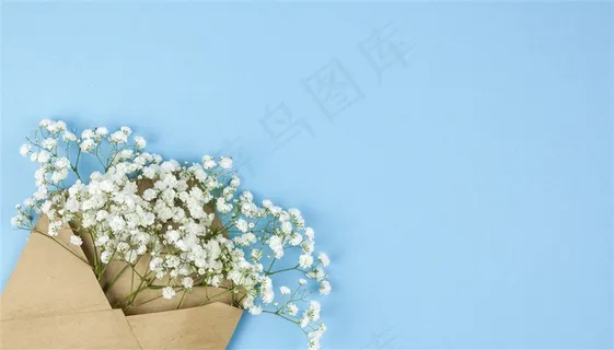 春季春天白色满天星鲜花卉蓝色桌面背景 春季春天白色满天星鲜花卉蓝色桌面背景