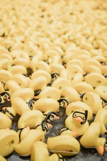 卡通黄色小鸭图片