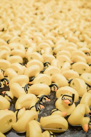 卡通黄色小鸭图片