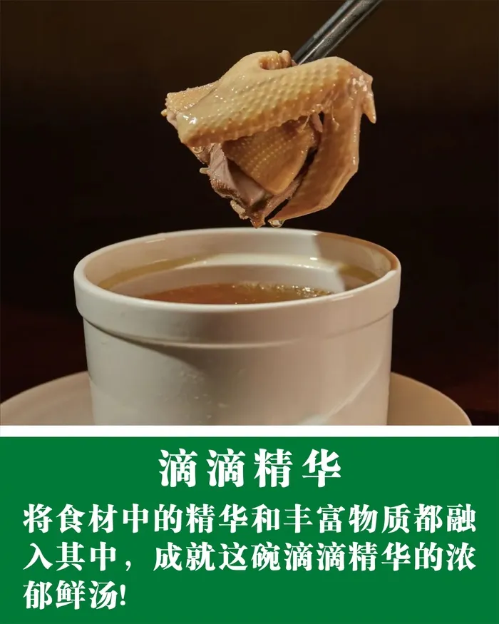 鸽子大全展板5cdr矢量模版下载
