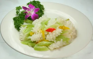 31 兰度目鱼花-根据地