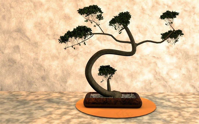 植物盆栽图片