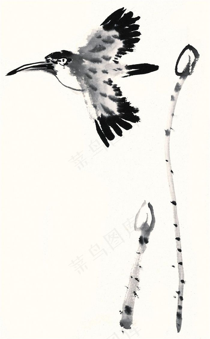 画鸟高清素材