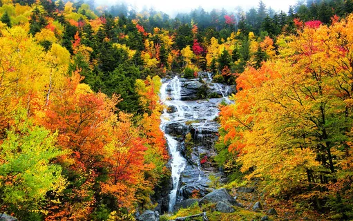 秋天森林瀑布风景树林 秋天森林瀑布风景树林