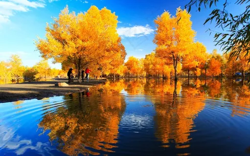 风景画 绿地风景 自然风景画 花树 风景画 绿地风景 自然风景画 花树