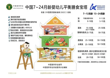 中国7~24月龄婴幼儿平衡膳食宝塔