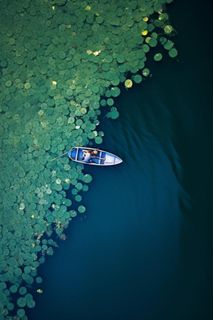荷叶俯视大气简约背景图