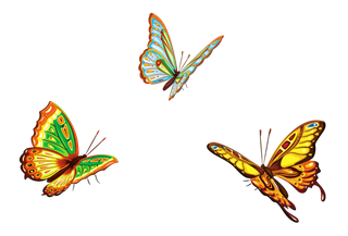 卡通动画动画蝴蝶免扣PNG手绘插画图片素材 (77)