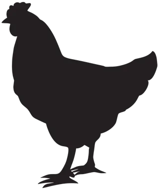 公鸡剪影卡通