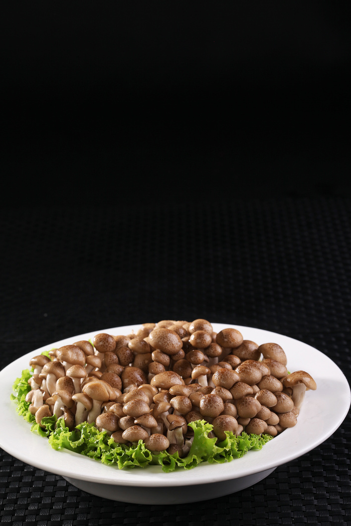 鲜味菇 (2)