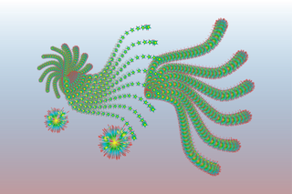 凤雌天祥式量图