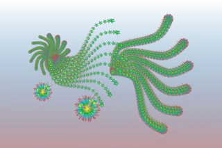 凤雌天祥式量图